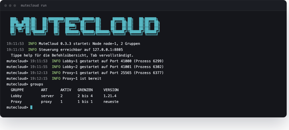 Die MuteCloud-Konsole mit laufendem Netzwerk