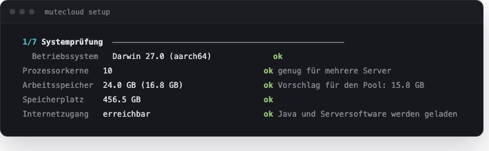 Der Einrichtungsassistent prüft die Maschine